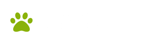 Zdjęcie: Fundacja Safe Animal.