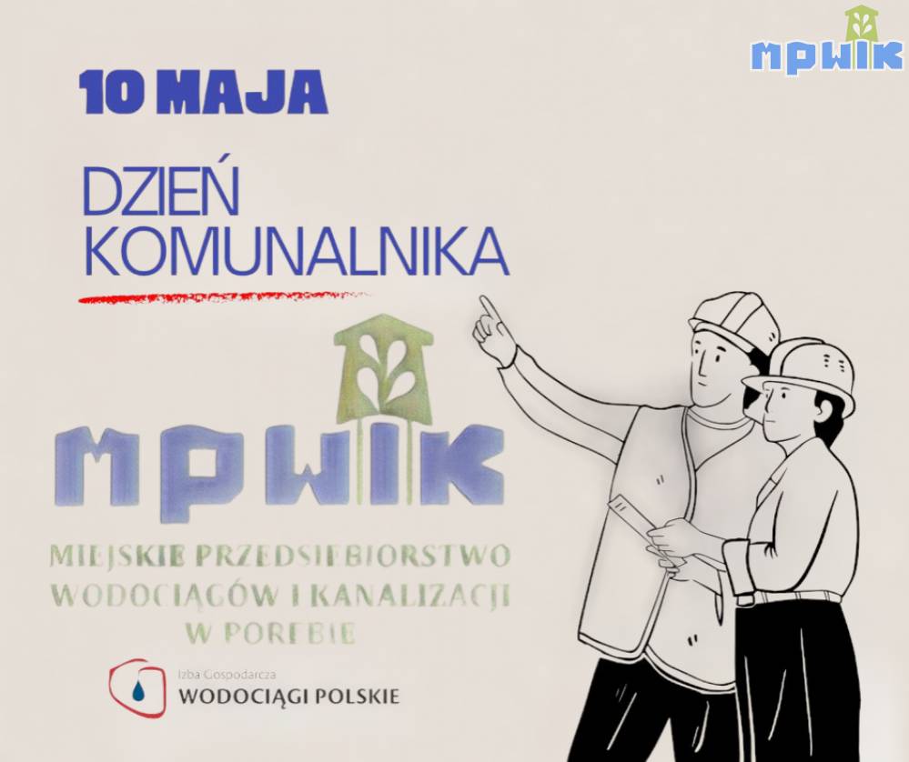 Zdjęcie: 