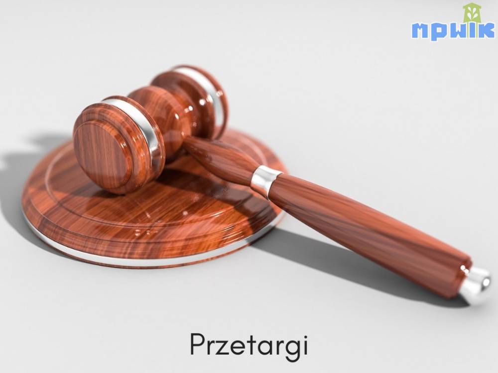 Zdjęcie: 