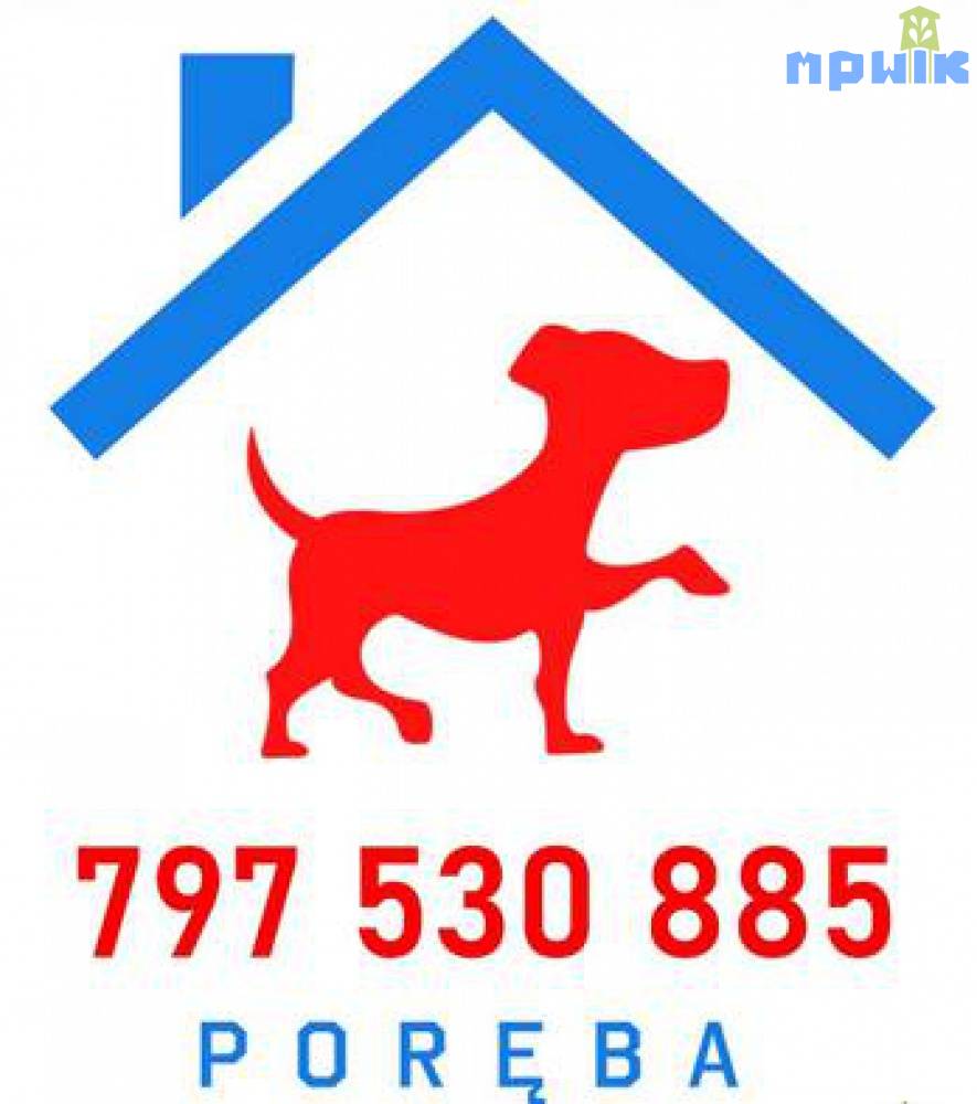 Zdjęcie: 