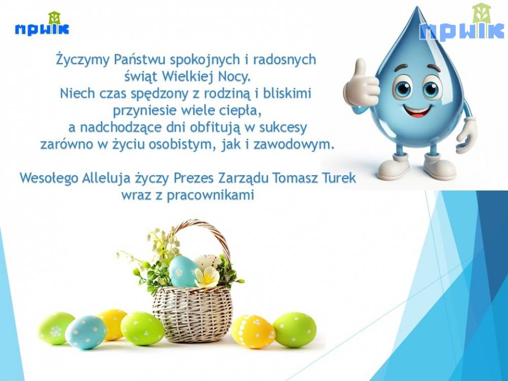 Zdjęcie: 